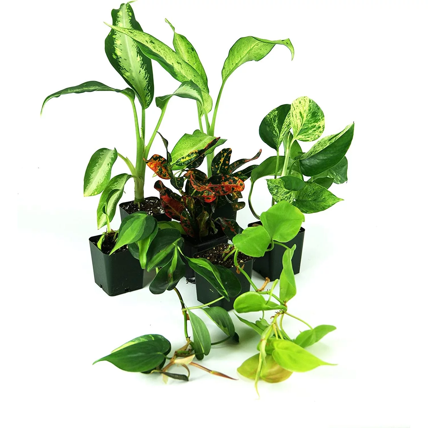 LPFEP Outdoor Garden Park Chair Patio Metal Single Seater Bench, Steel Frame Furniture with Backrest and Armrests for Porch Yard Lawn Deck, Red