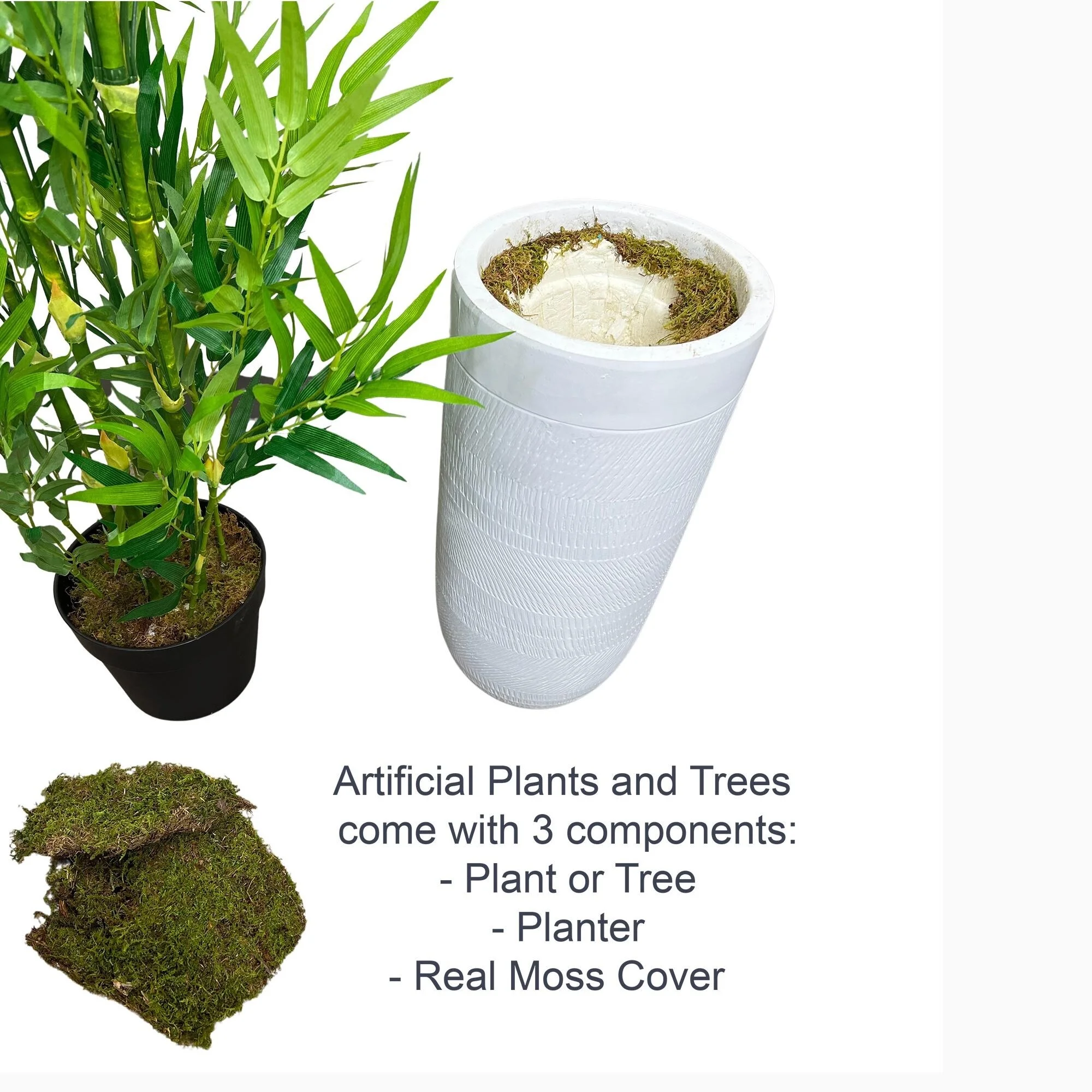 Cypress & Alabaster 6.5' Artificial Bamboo Plant with White Designer Fiberglass Planter -  - Realistic & Eco-Friendly Home Décor