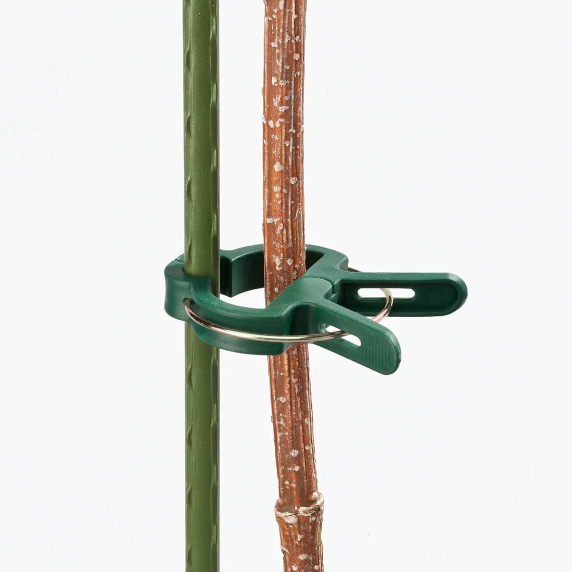 Plant Gripper Clips, Set of 40