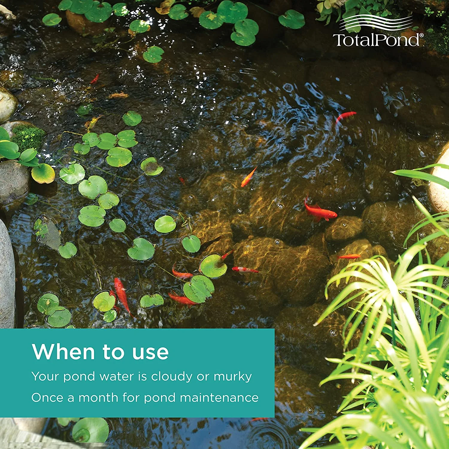 totalpond barley pond clarifier, 8-ounce