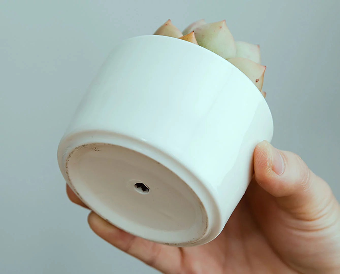 Succulent Pots,White Mini 3.15 inch Ceramic Flower Planter Pot with Bamboo Tray, Pack of 6 - Plants Not Included