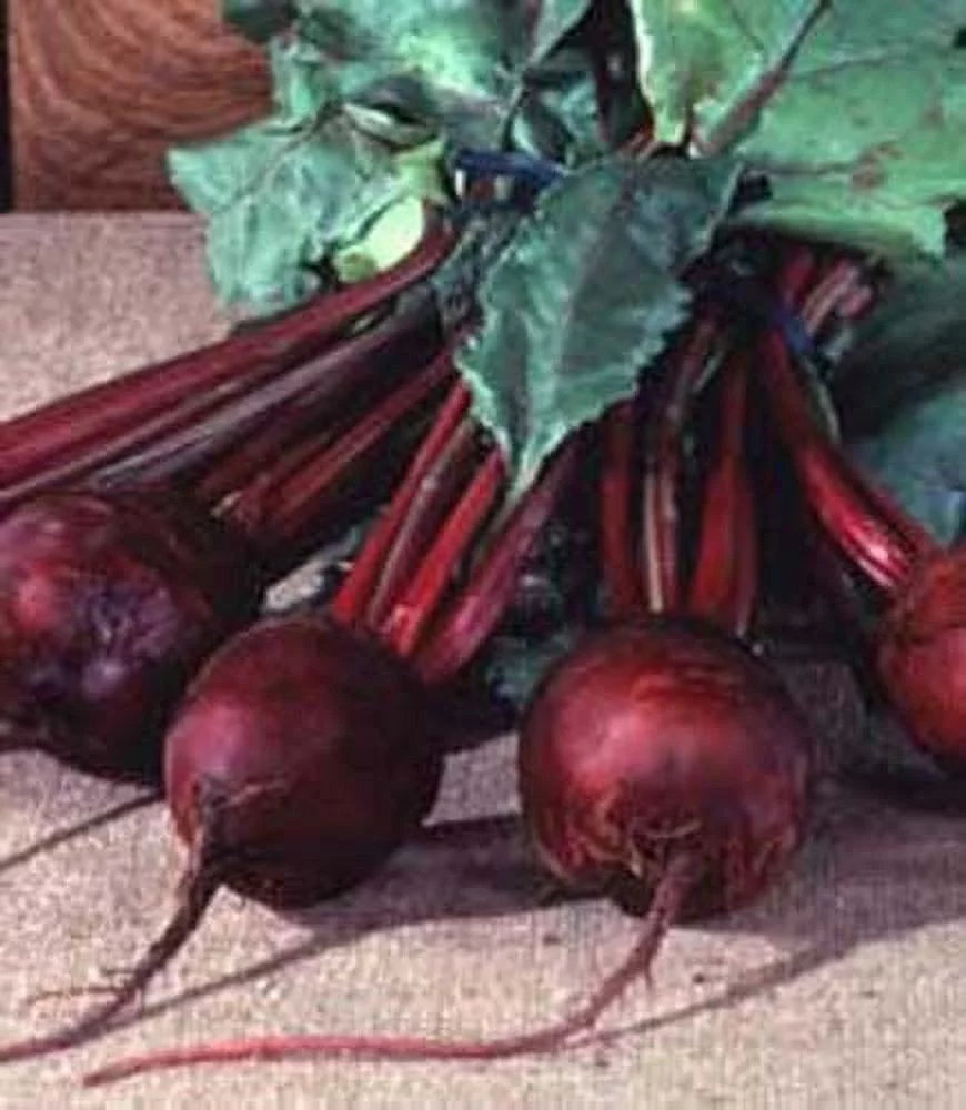 Beet Detroit Dark Red Great Heirloom Vegetable 400 Seeds