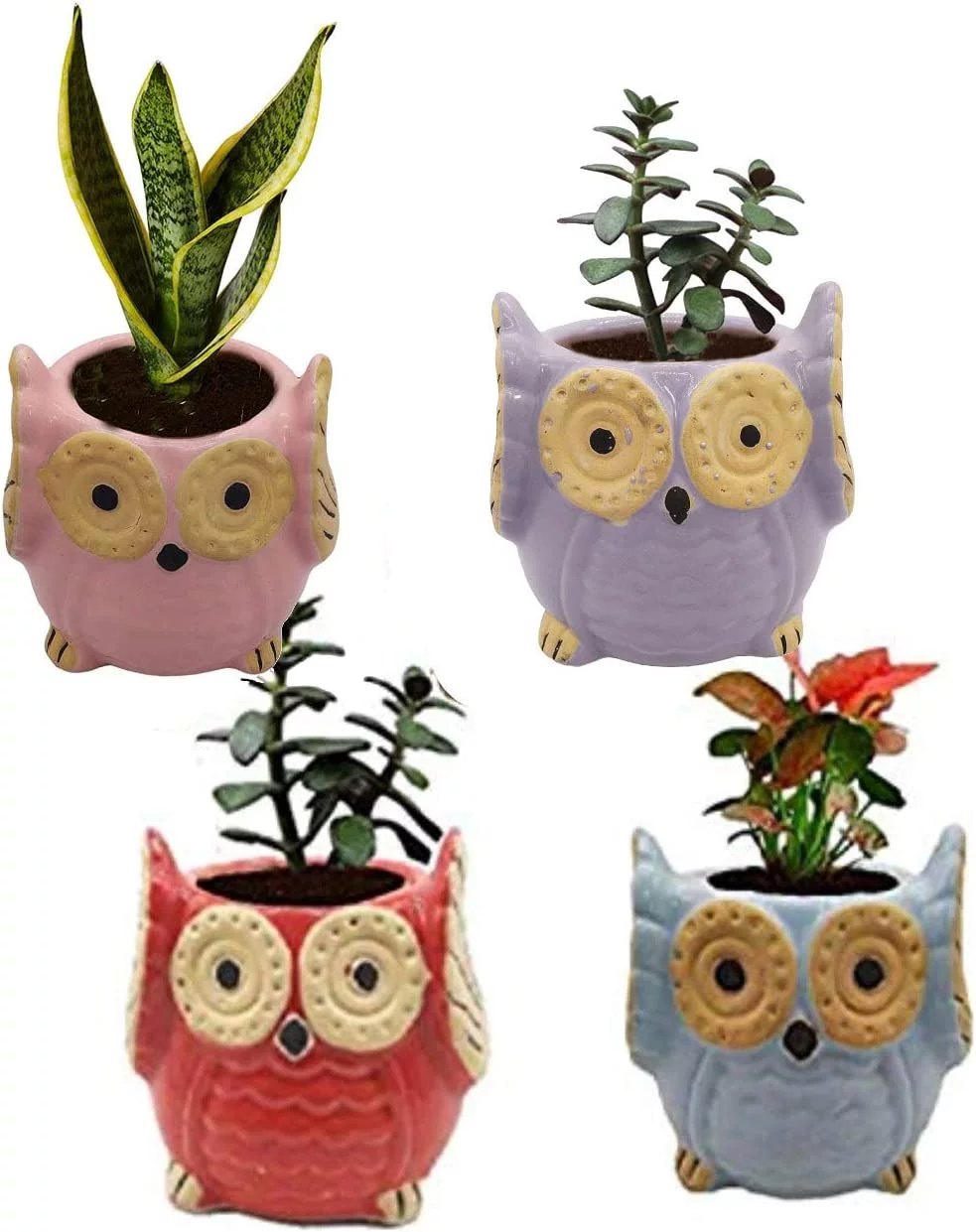 India Meets India Ceramic Planter, Owl Shaped [Multi-Color - 3.5 inch] - Ceramic Flower Pot/Indoor/Outdoor Pot, Set of 4 - by Awarded Indian Artisan