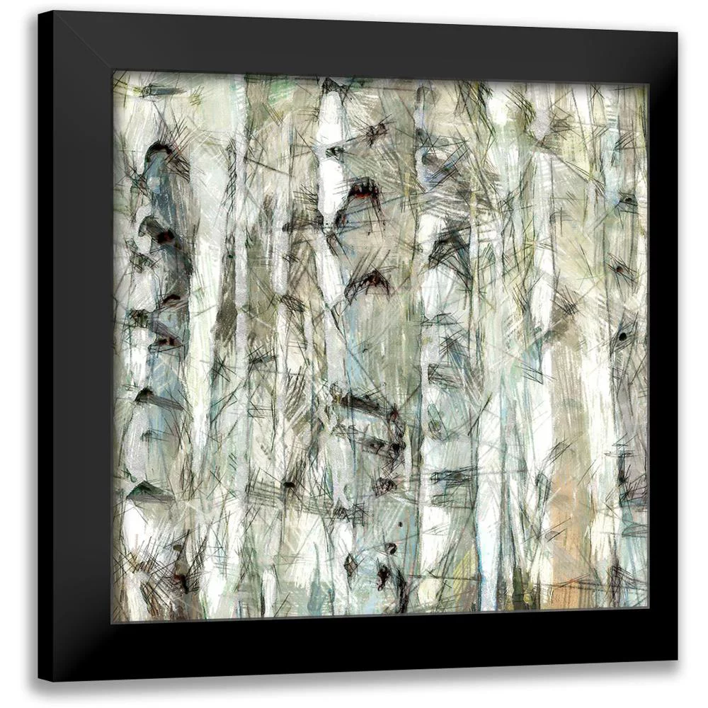 Saunders, Alonzo 12x12 Black Modern Framed Museum Art Print Titled - Birch Bunch III