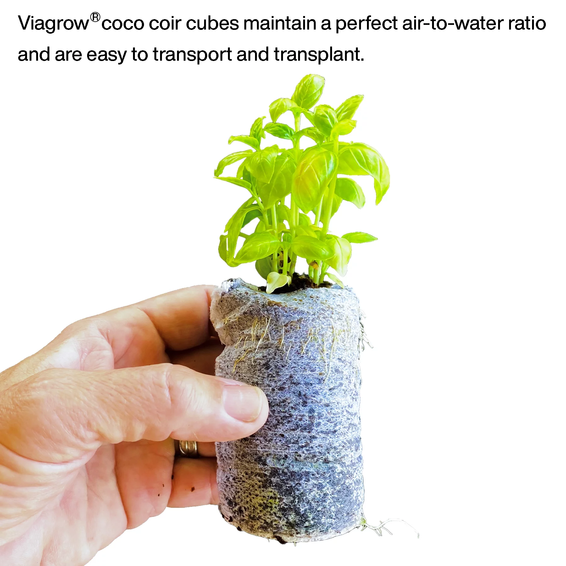Viagrow Coco Coir Seed Starters for Plants, Sustainable Soil Pods, Expandable Coco Discs 50mm, 50-Pack