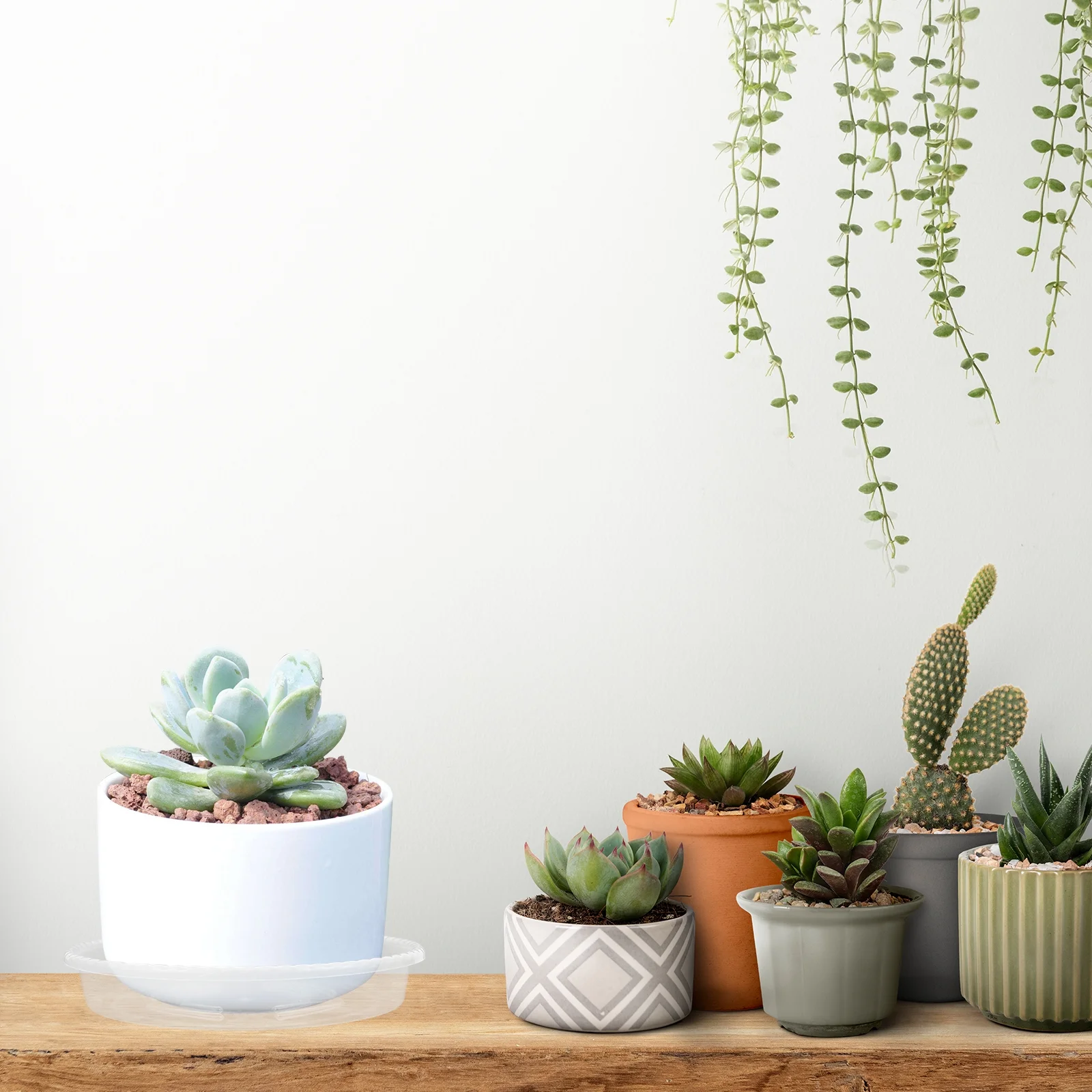 30 Pcs Flower Pot Holder Plant Tray Round Planter Water Flowerpot Bottom Trays Plastic Bases Drip Large