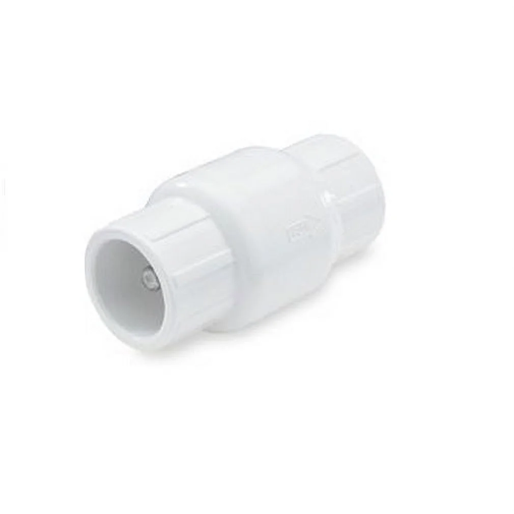 KBI 1011-10/KC1000S PVC Spring Check Valve, 1