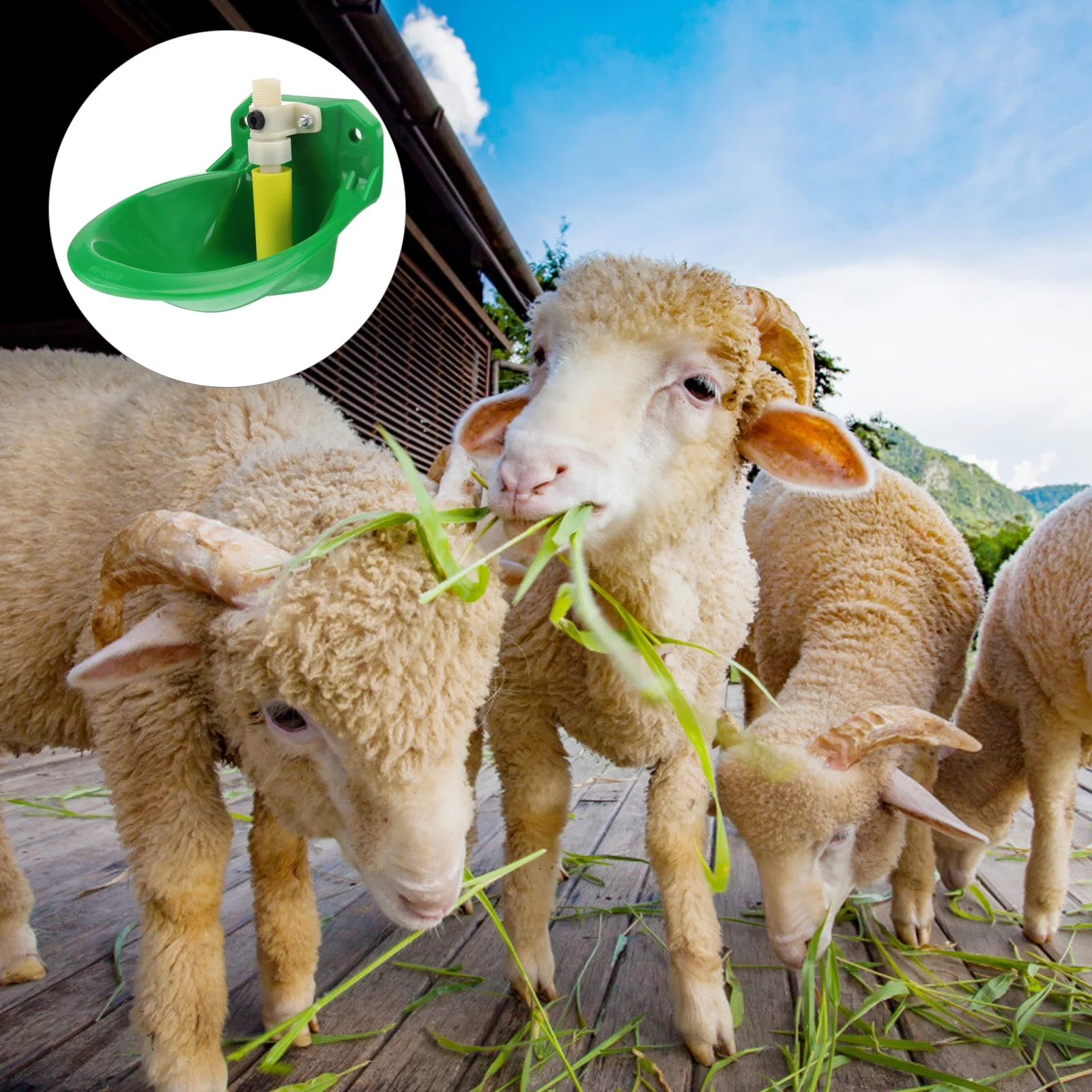 Guichaokj 1Pc Sheep Drinking Bowl Animal Waterbowl Automatic Water Fountain (Green)