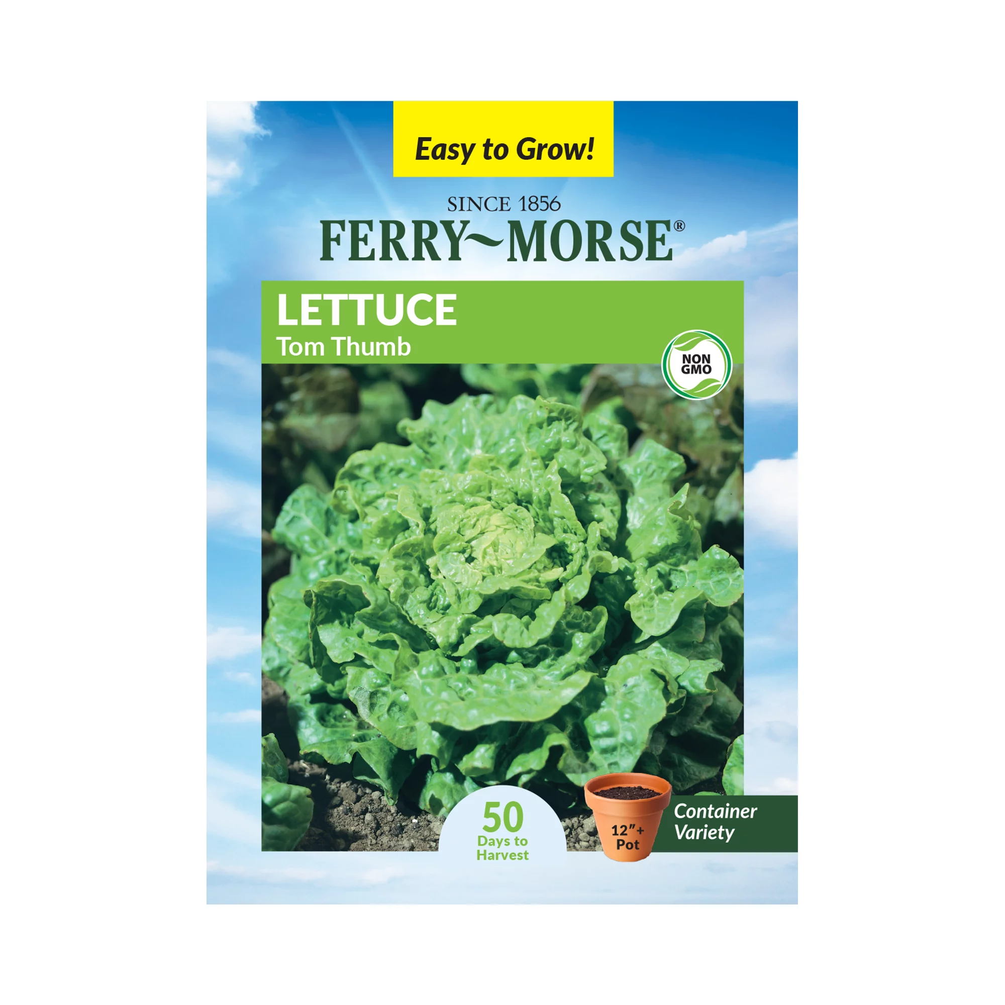 Ferry-Morse 500MG Lettuce Tom Thumb Vegetable Plant Seeds Full Sun