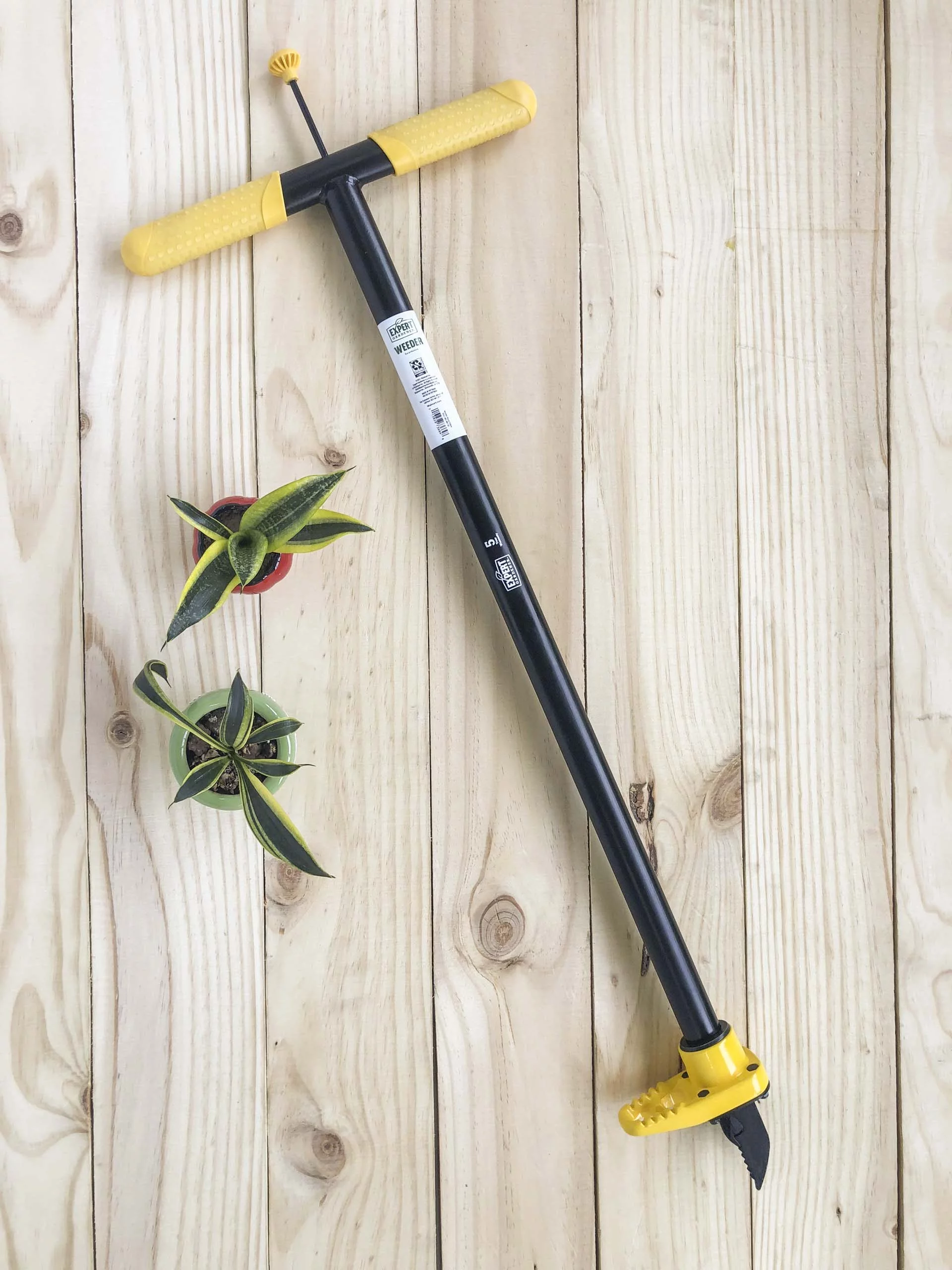 Expert Gardener   43