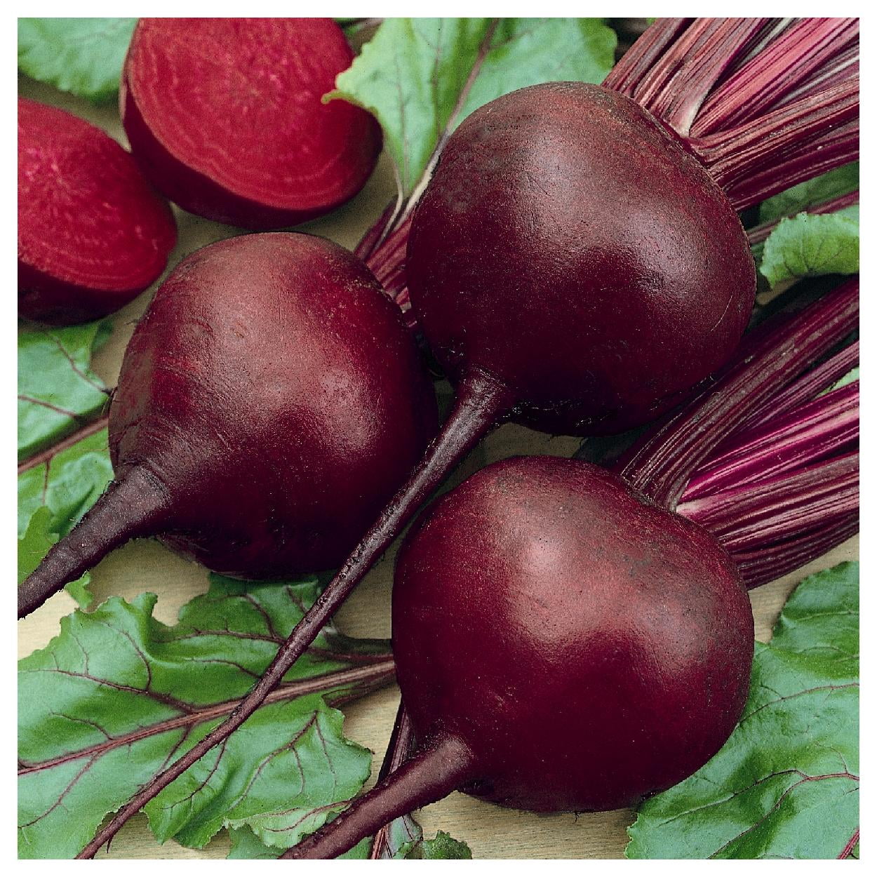 Everwilde Farms - 200 Detroit Dark Red Beet Seeds - Gold Vault Jumbo Bulk Seed Packet