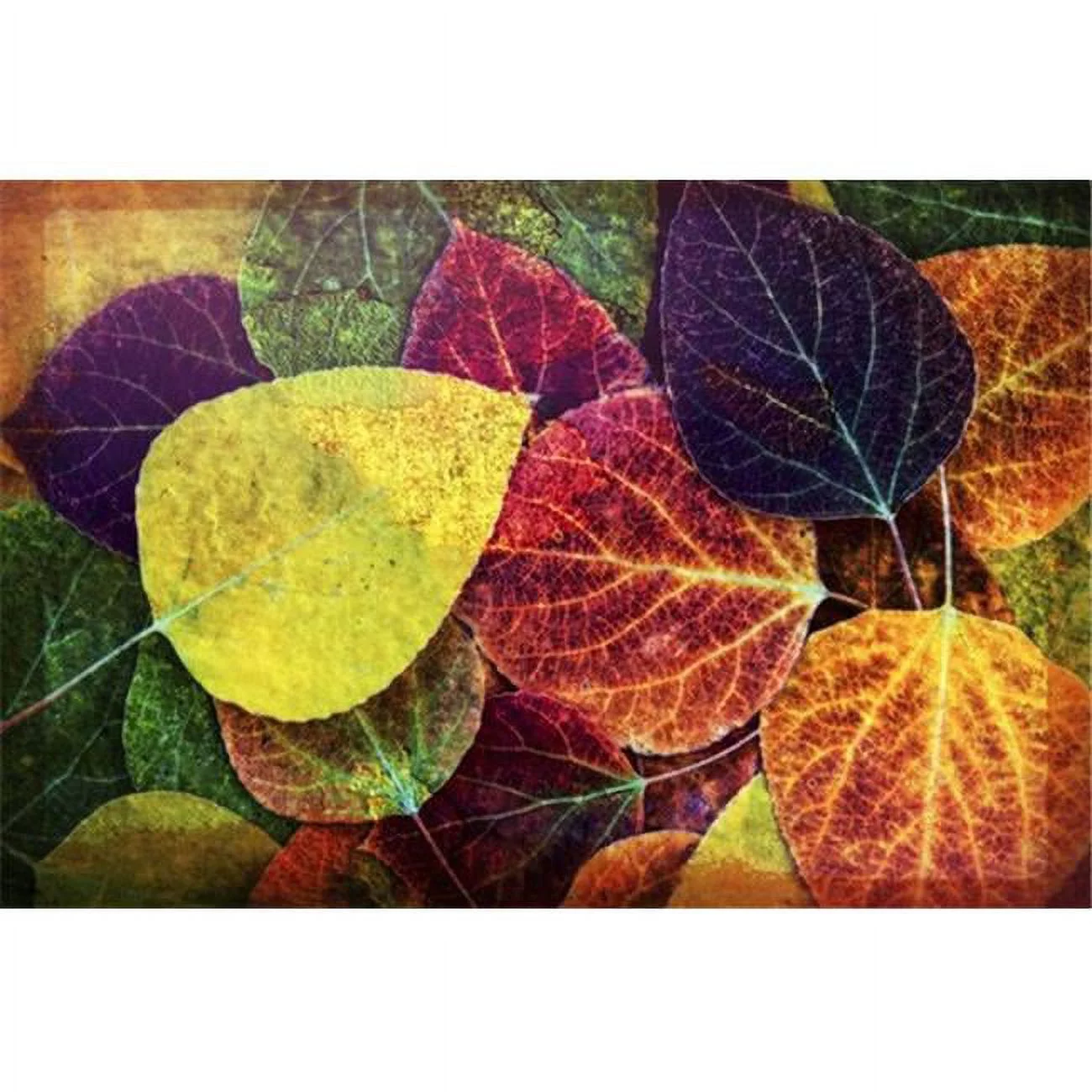 Wall Art of Close Up of Fallen Aspen Tree Leaves in Sierra Nevada Region Bishop Poster Print by Marion Owen - 19 x 12