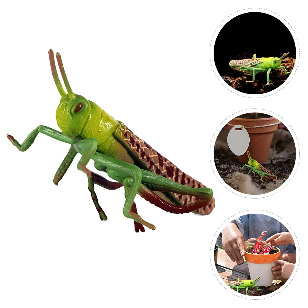 Gongxipen 1pc Simulation Locust Model Plastic Grasshopper Decor Insect Plastic Toy