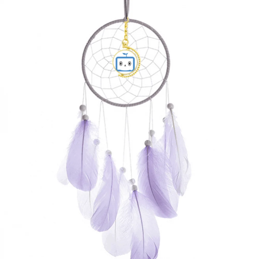 Saplings Lovely Small TV Face Original Dream Catcher Wall Hanging Feather Decor