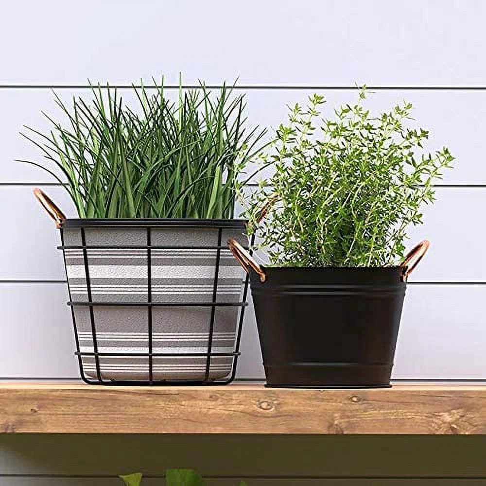 Panacea Bci Panacea Washtub Planter 10  10IN