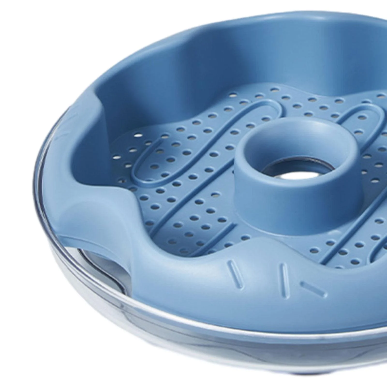 oshhnii Grass , Planting Tray, Germination Tray, Grass Sprouting Tray, Cat Snack Blue