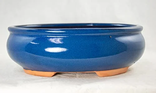 Oval Bonsai / Cactus & Succulent Pot + Tray + Mesh, Dark Blue, 10 x 7.5 x 3.25 Inches