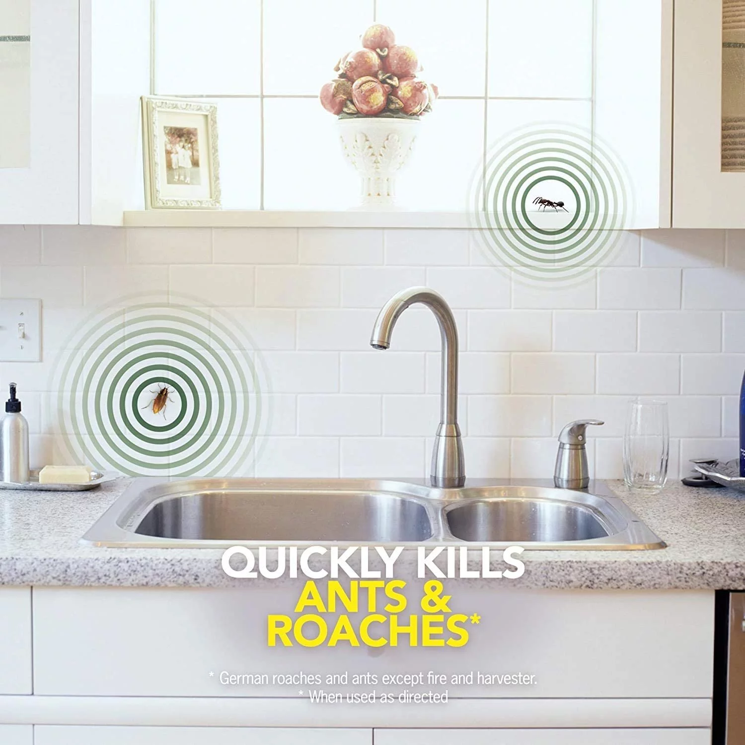 Raid Ant and Roach Killer, Aerosol Spray with Essential Oils (Pack OF 12)