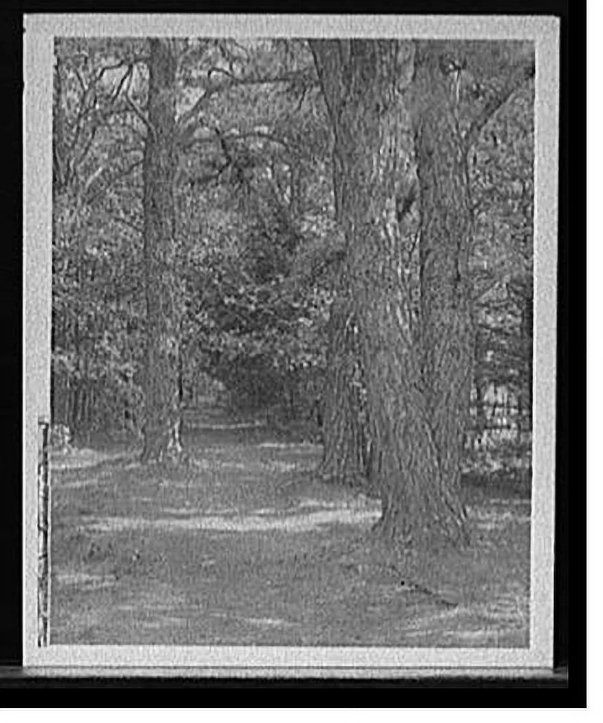 Historic Framed Print, Path to Tupelo Point, Wellesley College, Mass., 17-7/8