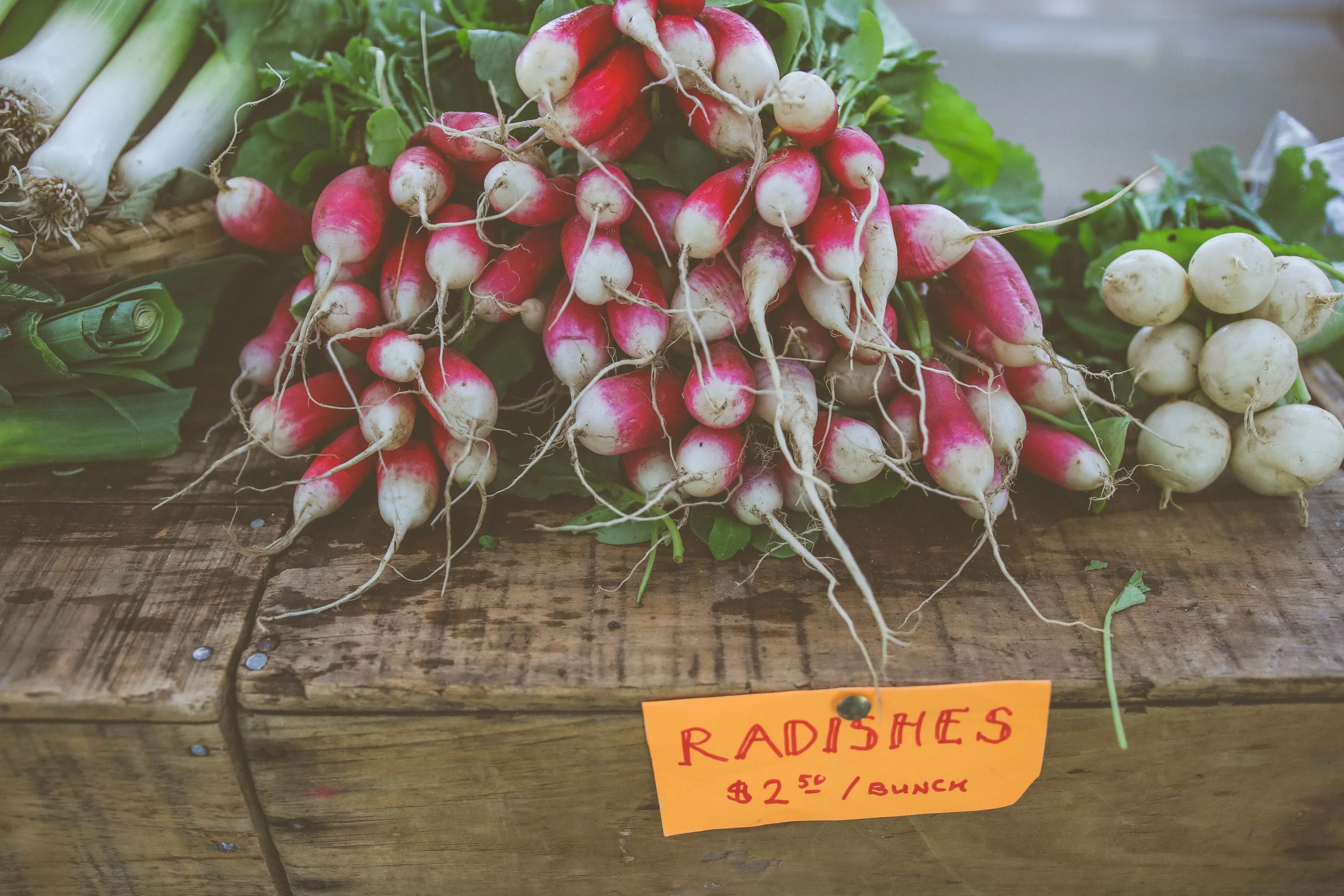 French Breakfast Radish Seeds/ Annual/ Full Sun/200 Seeds 2 Grams/ Zellajake Farm and Garden - B78