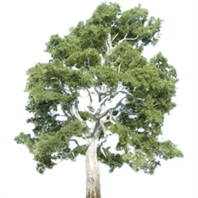 Woodland Scenics Sycamore, 3 7/8