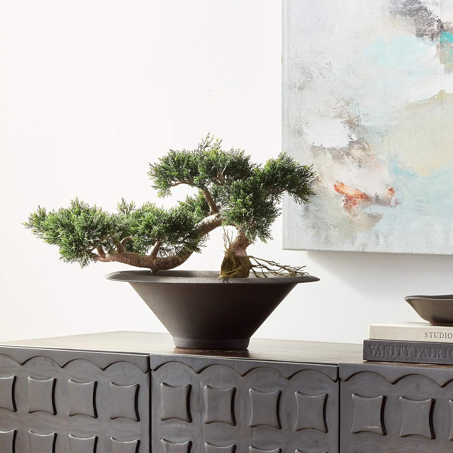 Cedar CEDER Bonsai Tree, Green