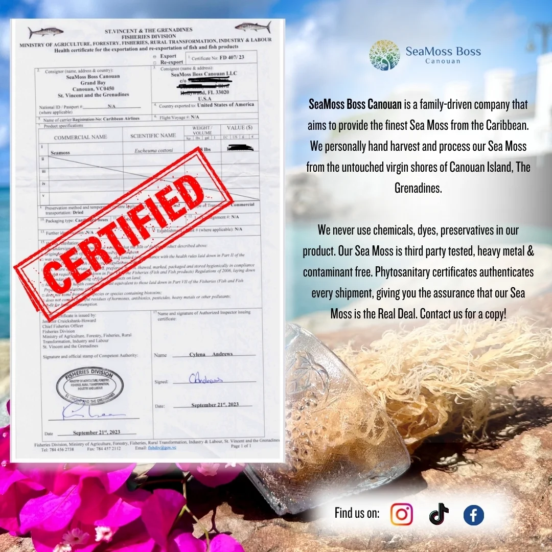 Full Spectrum Sea Moss