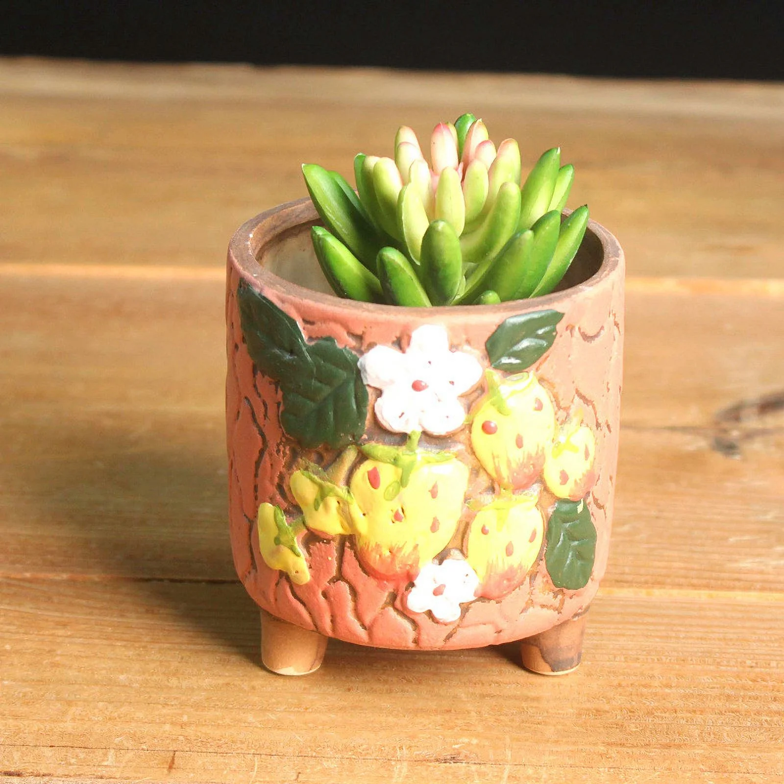 LivNxt Hand-painted Ceramic Succulent Planter - Large Coarse Pottery Design