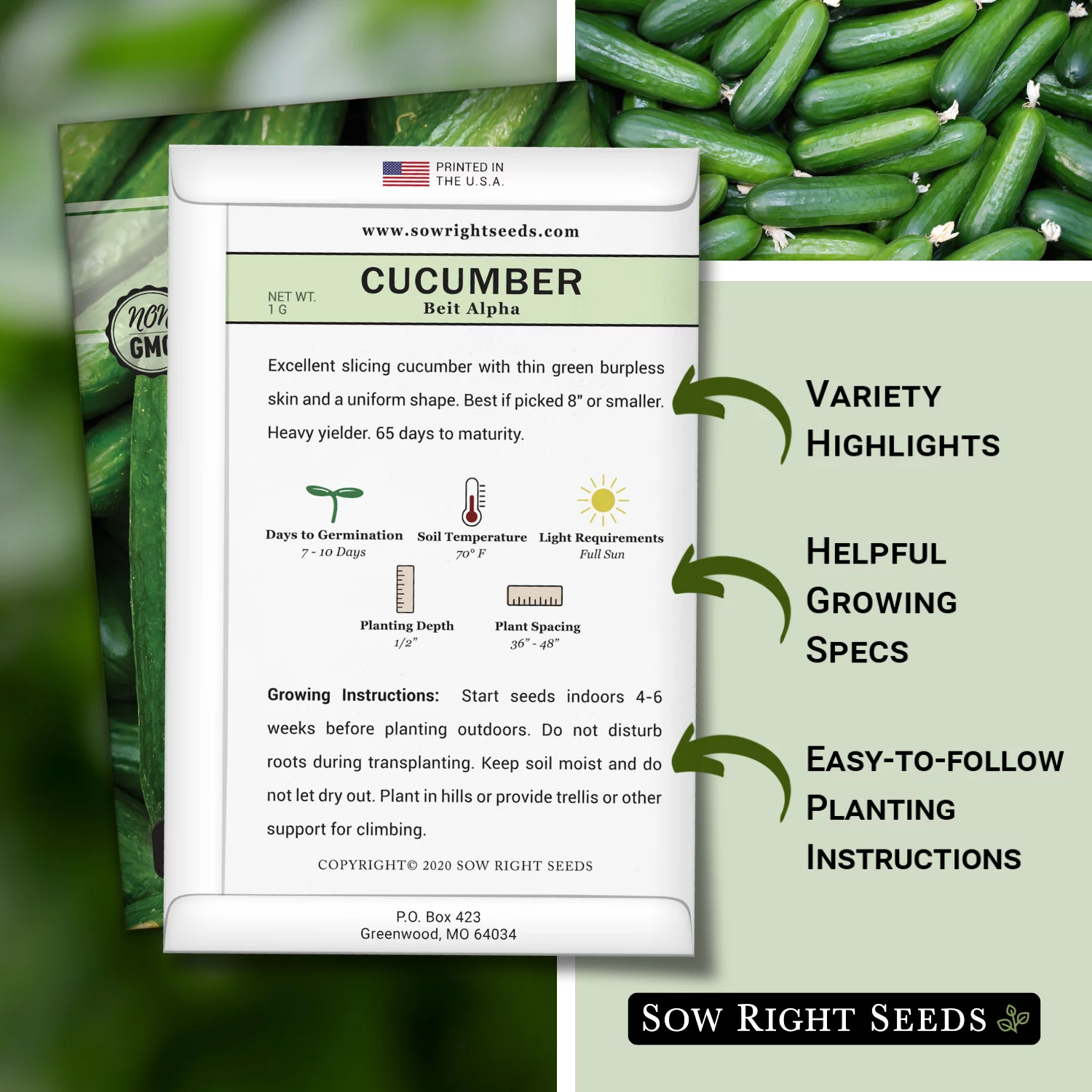 Beit Alpha Cucumber Seeds - Non GMO Heirloom Varieties for your Home Vegetable Garden - 2 Pack