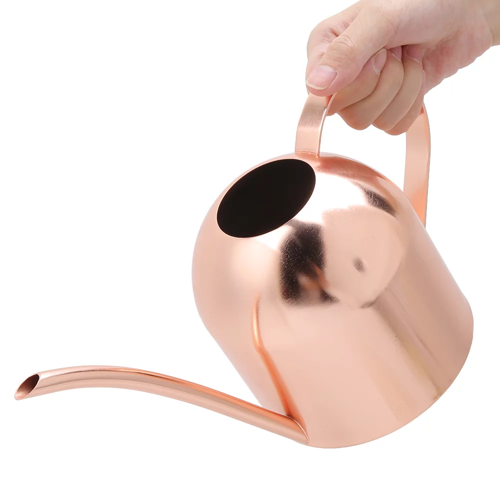 Jadeshay Watering Can 1000ml Stainless Steel Watering Can Sprinkle Pot Long Mouth Garden Flowers Plants Water Container