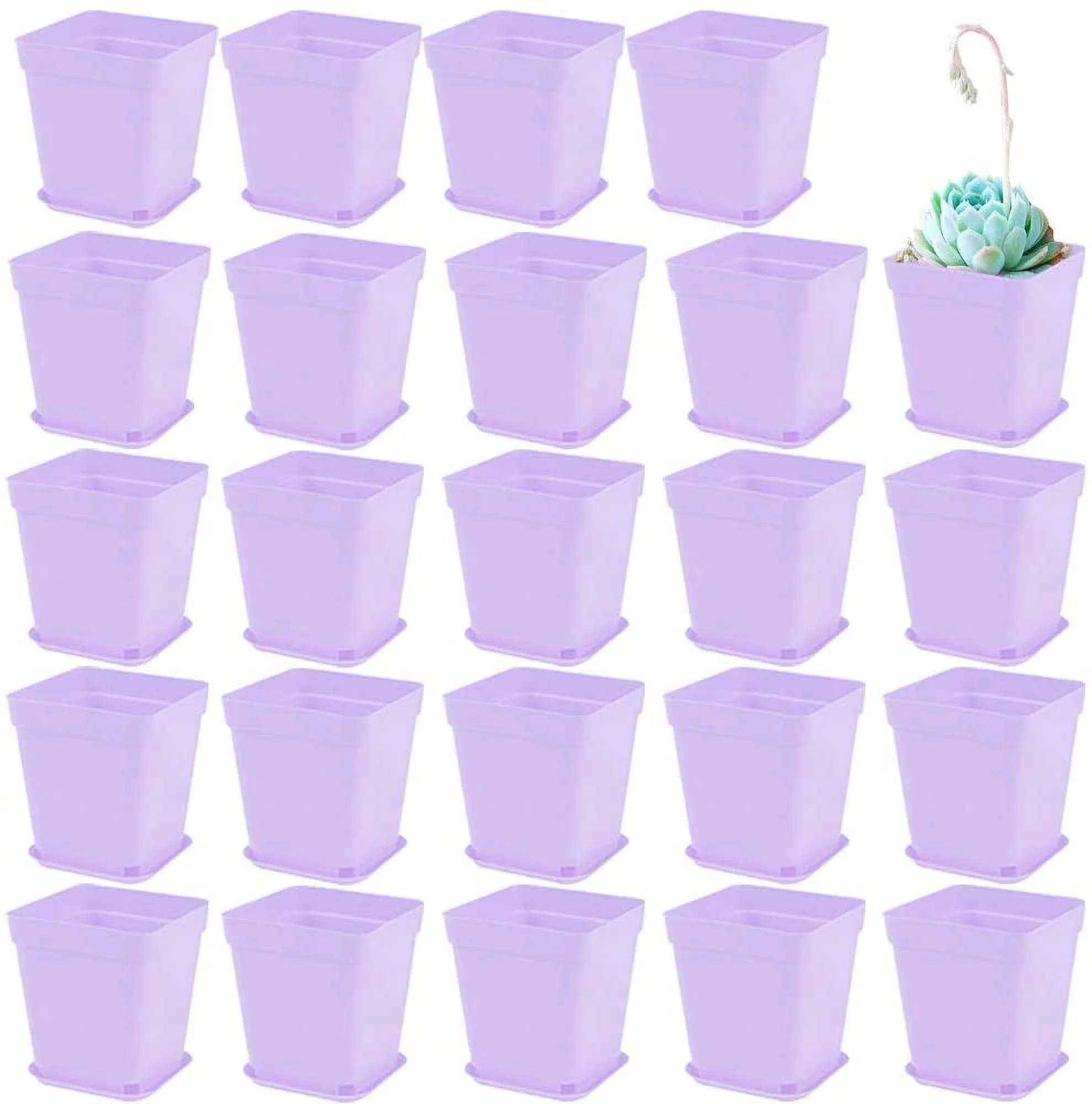 NAMZI 24 Pack Plastic Square Nursery Pots 3 Inch Plastic Plant Pots,Flower Pot with Tray Saucer for Indoor Outdoor Garden Office Decor，purple