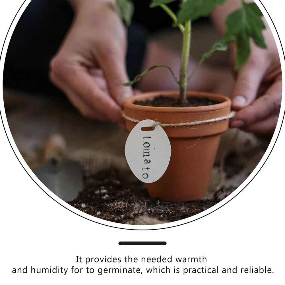 Veggie Tray 3 Pcs Germination Starter Greenhouse Planting Seedling Moisturizing Flowers Insulation