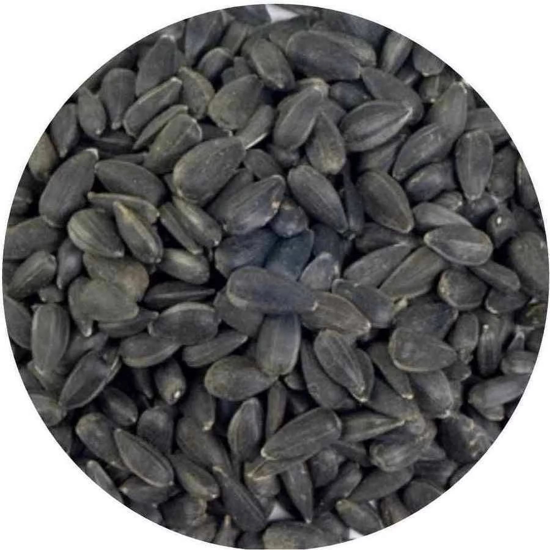 Wagner's 5 Lb 100% Black Oil Sunflower Seed