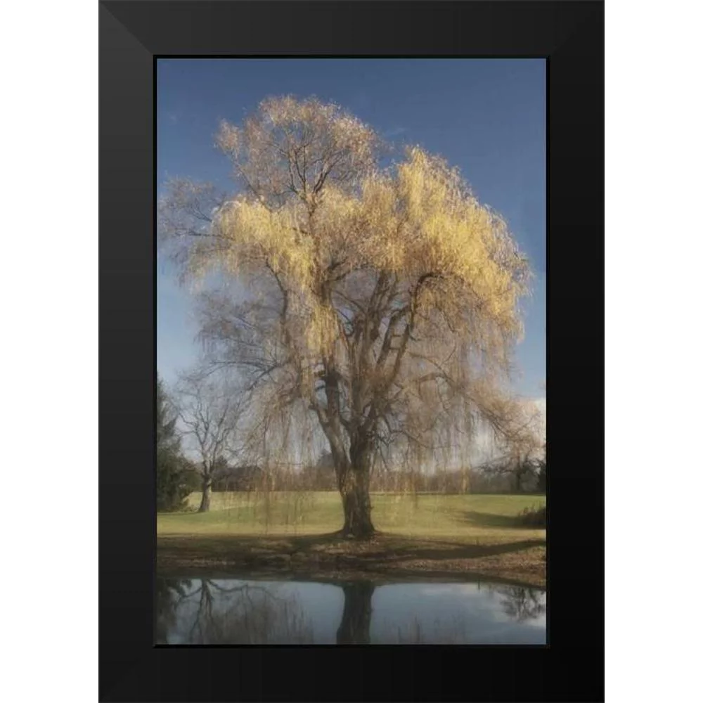 Vitaly, Geyman 11x14 Black Modern Framed Museum Art Print Titled - Willow Magic II