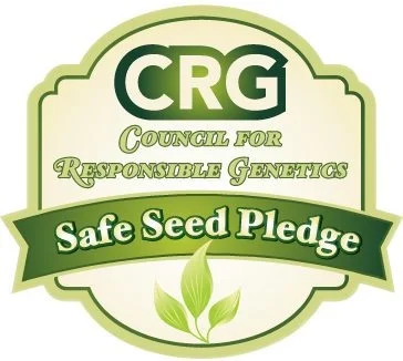 Earthcare Seeds - Mexican Weeping Pine Tree 60 Seeds (Pinus Patula) Heirloom - Open Pollinated