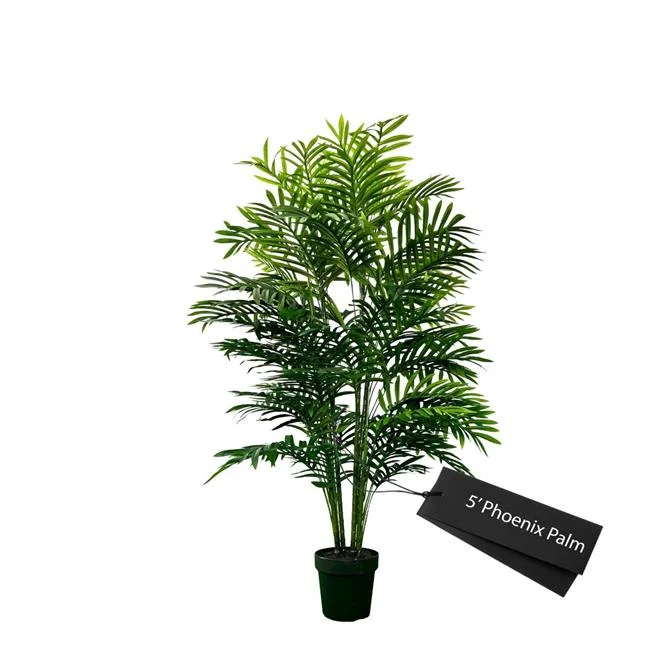 Cypress & Alabaster  Realistic Artificial 5' Double Phoenix Palm In Home Basics Starter Pot, Home Dcor, Office