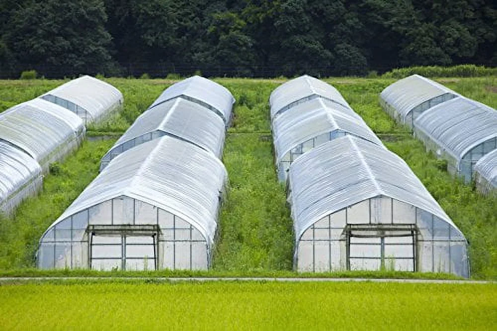 Greenhouse Clear Plastic Film – 25’ x 20’ 6mil, 4 Year UV Treated, Anti Condensation Heavy Duty Polyethylene