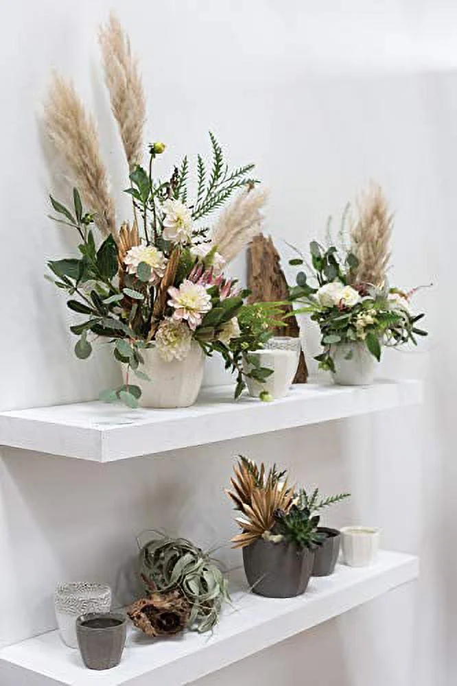 Bona Ceramic Pot for Plant and Flowers (53020.21) (4