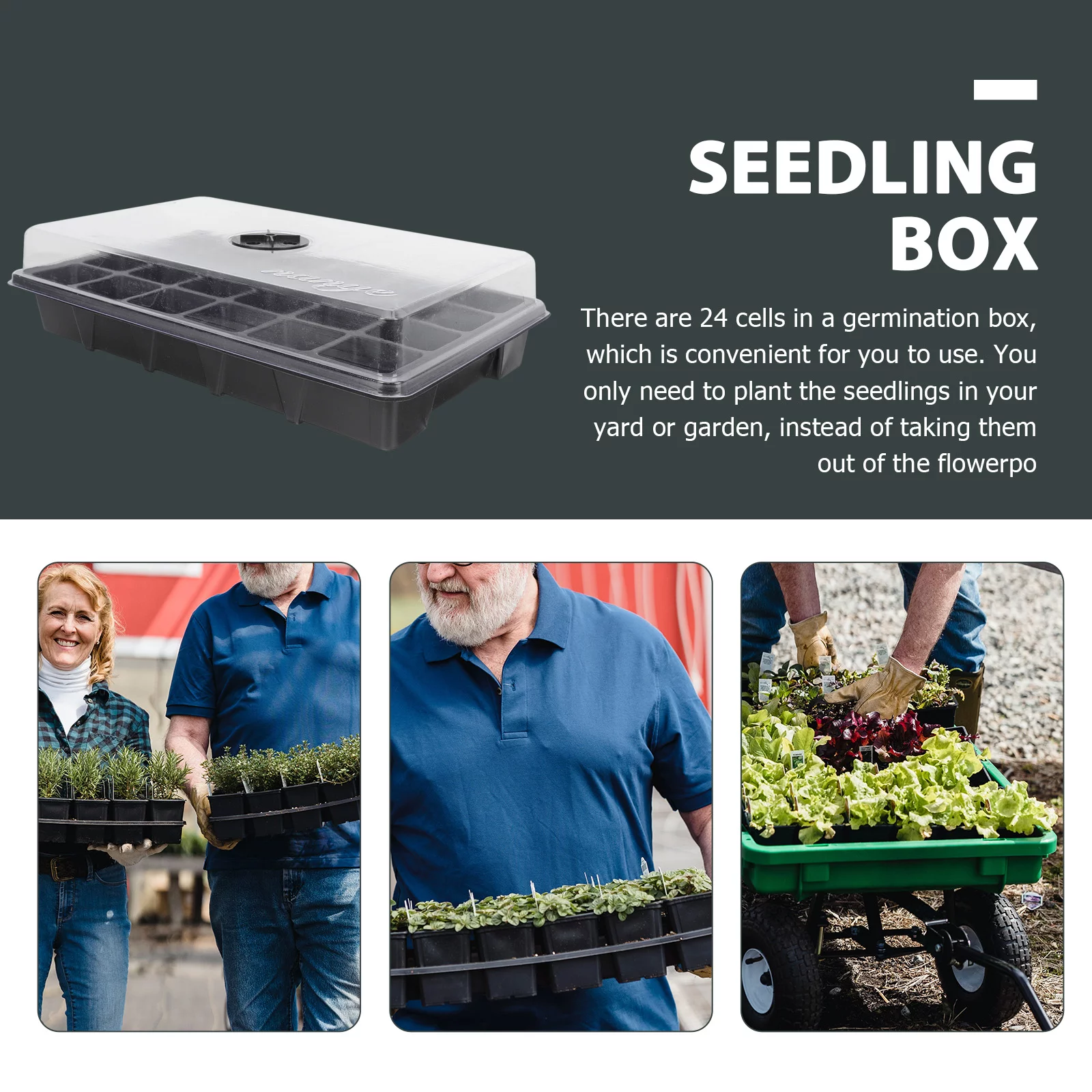 Guichaokj 2Pcs Home 24 Holes Plant Germination Boxes Plastic Planting Tray With Lid