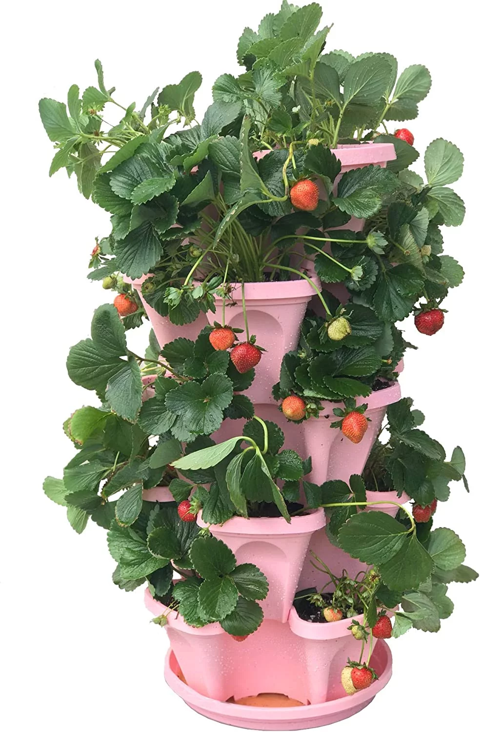 Strawberry and Herb Garden Planter - Stackable Gardening Pots with 10 Inch Saucer