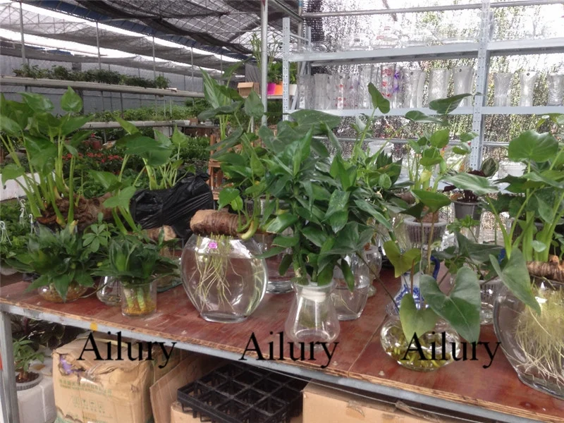 PP Hydroponics Plants Dedicated Solid Root Colonization Basket Vase  Cup Water Garden Aquarium Container