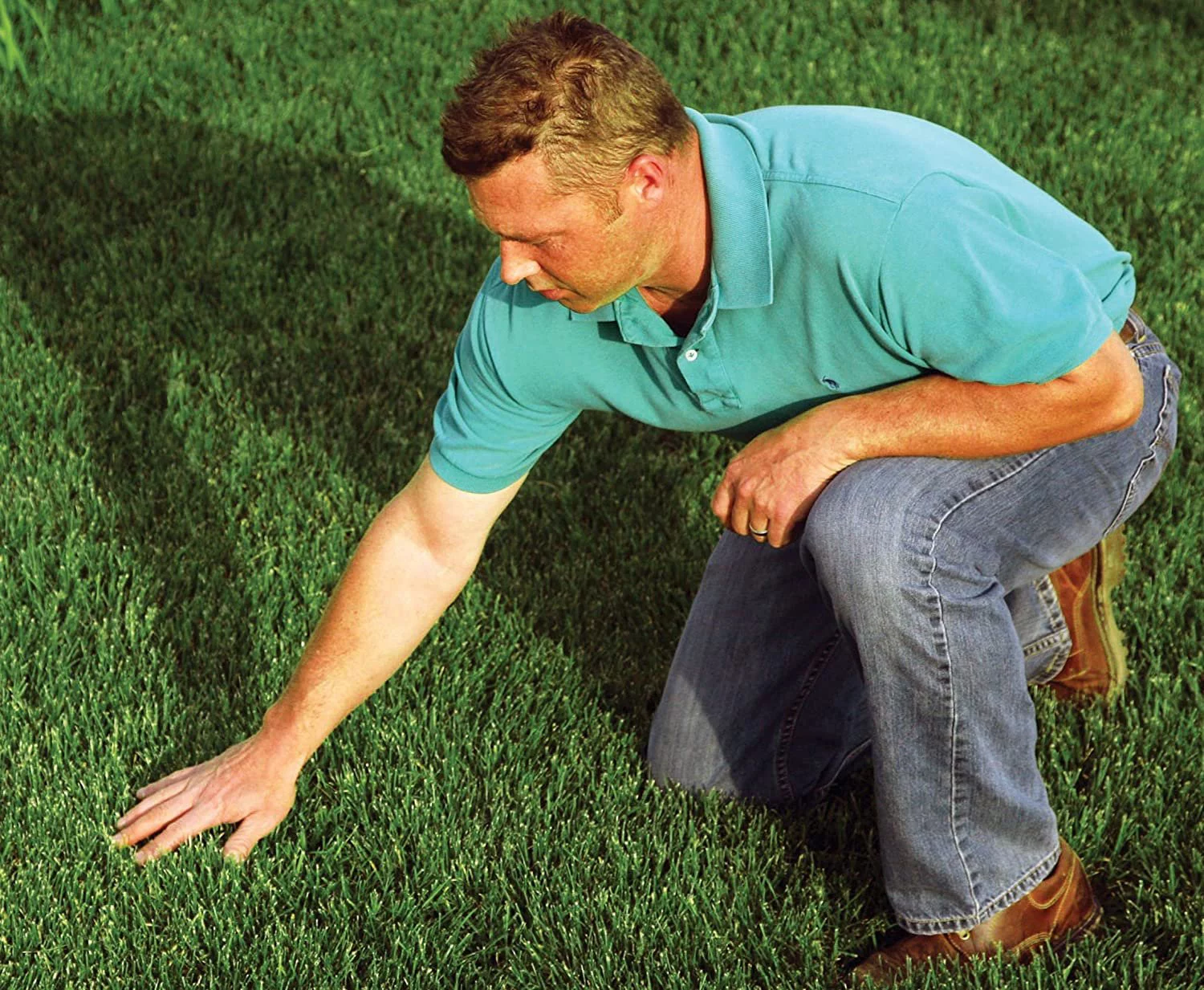 EZ-Straw Grass Seed Germination and Erosion Control Blanket - 36 pack - 4ft. x 50ft. 200 sq. ft. each - 7200 sq. ft total coverage