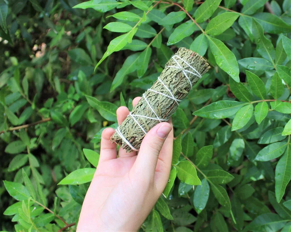 Cedar Sage Smudge: 5 Stick Value Pack! (Herb, House Cleansing Negativity Removal
