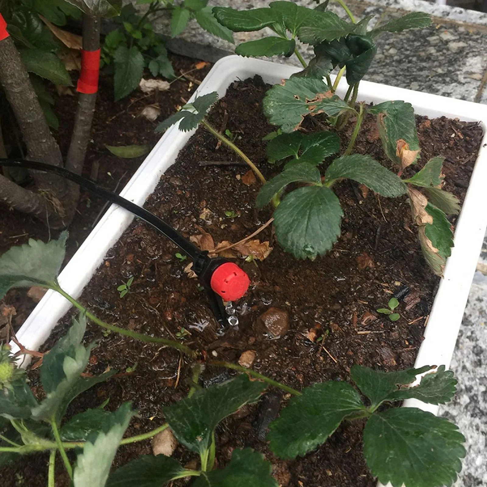 50PCS 1/4'' Barb Red Adjustable Nozzles Garden Watering Irrigation Sprinkler Emitter Micro Drip Balcony Yard Greenhouse Spray