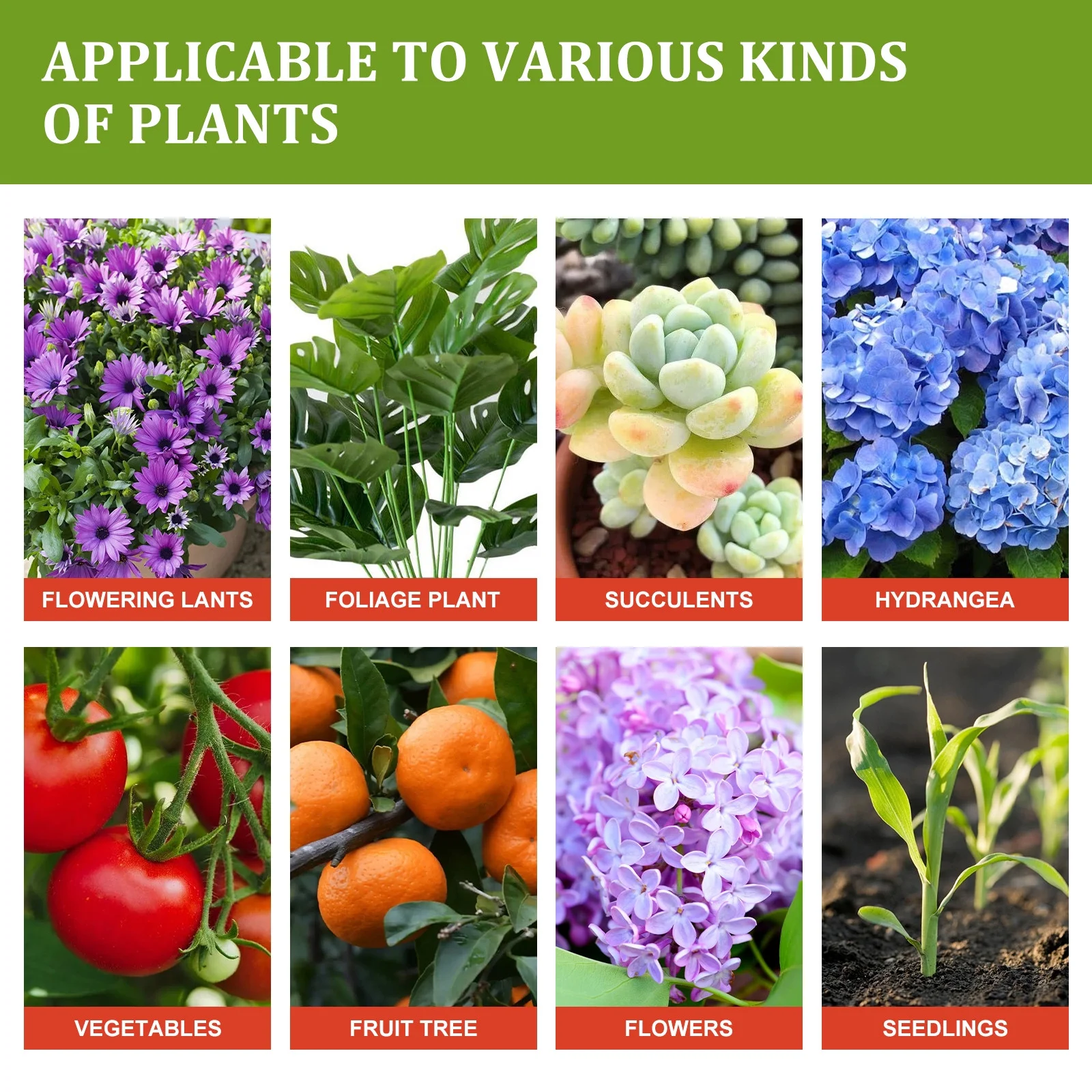 Tinyansi Plant Nutrient Solution, Plant Growth Nutrient Flower Plant Rooting Concentrated Growth Promoting Fertilizer 50ml