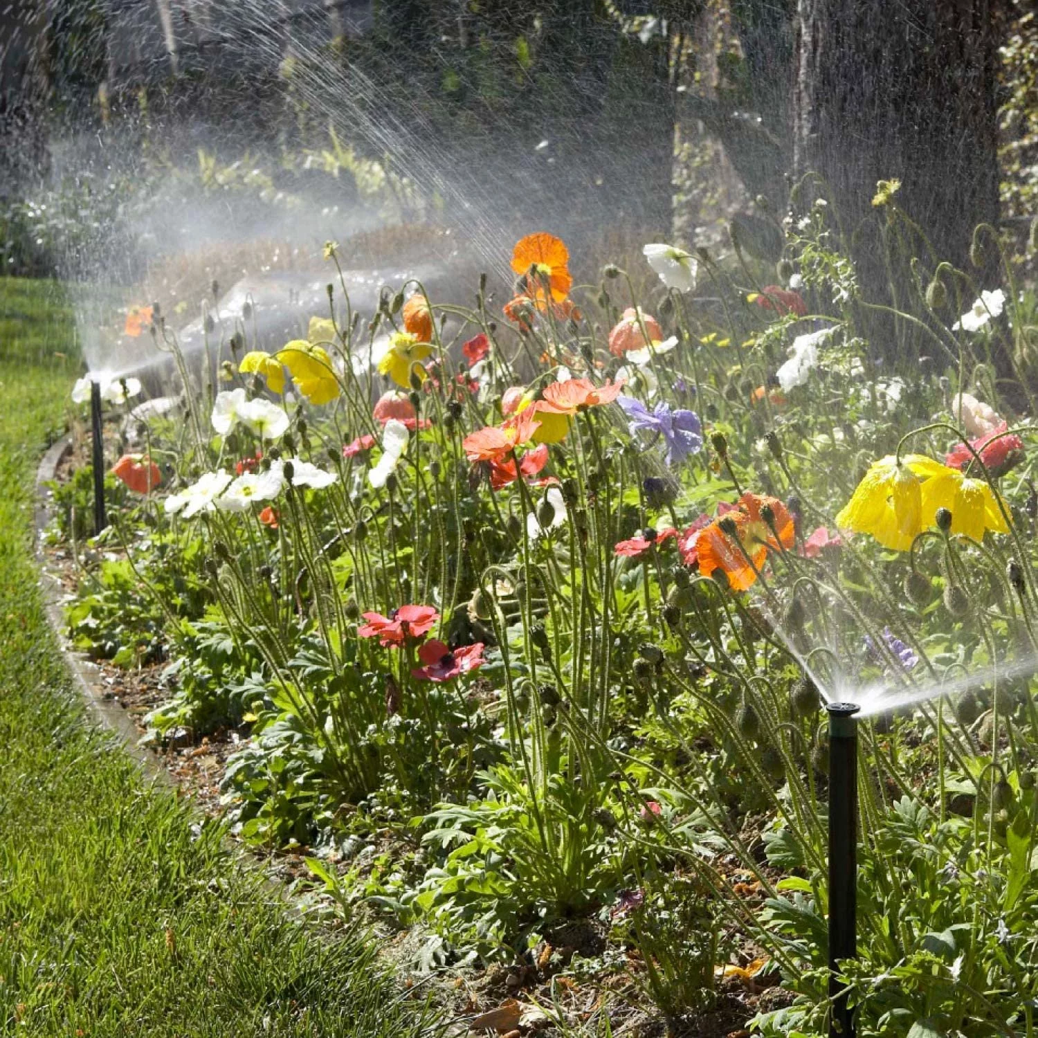 Hunter Pro-Spray PRS30 4 in. H Adjustable Pop-Up Spray Head