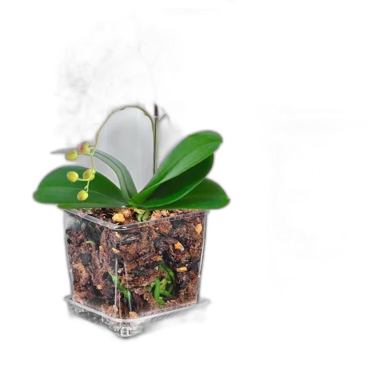 High -Transparent Flower Pot Phalaenopsis Plastic Square Water Moss With Bottom Hole Control Root Breathable Home Desktop Creativity