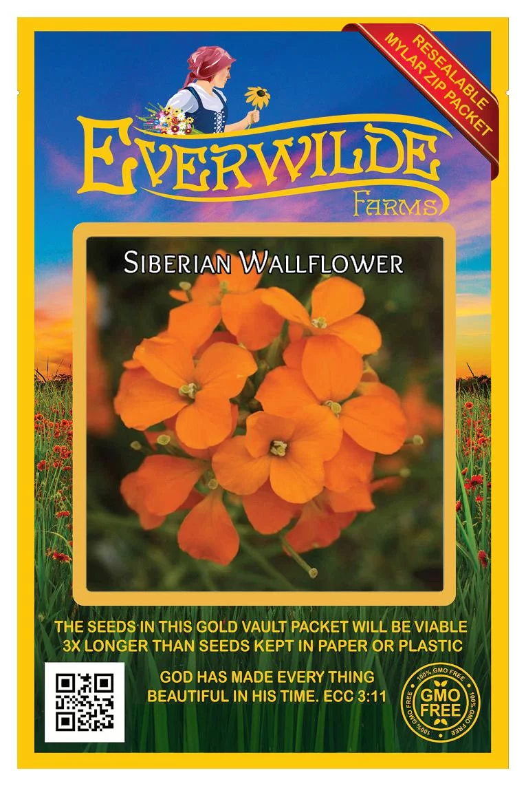 Everwilde Farms - 2000 Siberian Wallflower Garden Flower Seeds - Gold Vault Jumbo Bulk Seed Packet