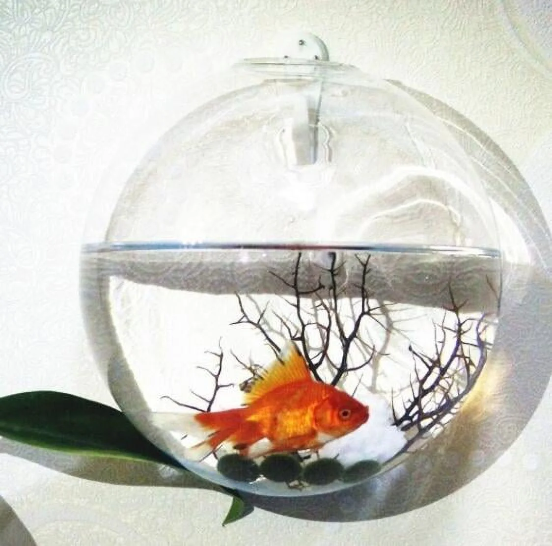 hirigin Wall-Mounted Glass Flower Pot Transparent Globe Shape Hanging Vase Planter