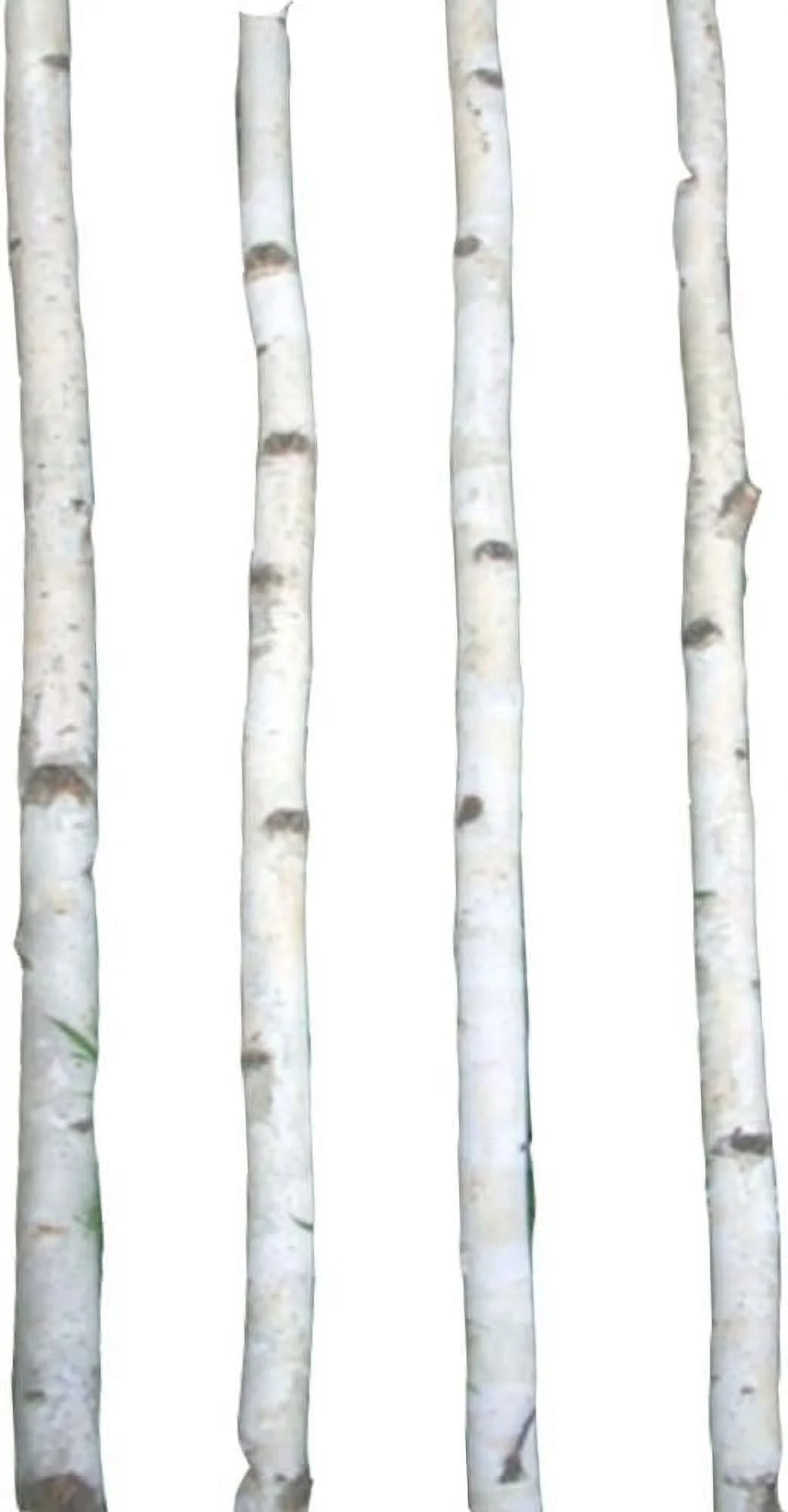 Four Thin White Birch Poles 7 Ft
